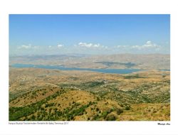 22.06.2012 / Yöresel Sergi