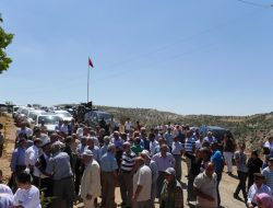 11.08.2013 / Çemişgezek Dut ve Peynir Festivali