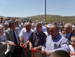 11.08.2013 / Çemişgezek Dut ve Peynir Festivali