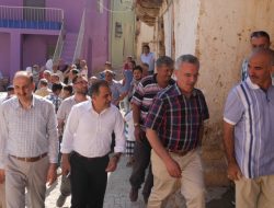 11.08.2013 / Çemişgezek Dut ve Peynir Festivali