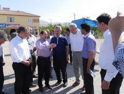 11.08.2013 / Çemişgezek Dut ve Peynir Festivali