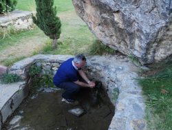 11.08.2013 / Çemişgezek Dut ve Peynir Festivali