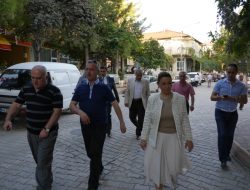 11.08.2013 / Çemişgezek Dut ve Peynir Festivali