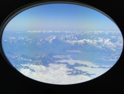 19.06.2014 / Avusturya - Fransa - UETD Organizasyonları