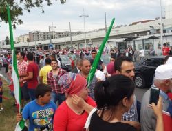 19.06.2014 / Avusturya - Fransa - UETD Organizasyonları