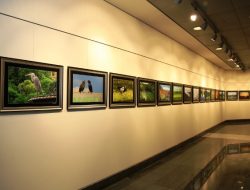 26.03.2012 / Düş Bahçemden Fotoğraf Sergisi