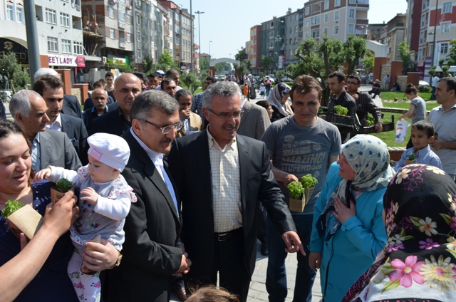 05.05.2012 / Zeytinburnu Belediyesi Fesleğen Dağıtımı